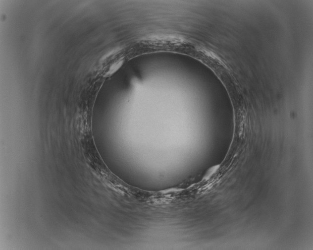 X0000065970965200603061145