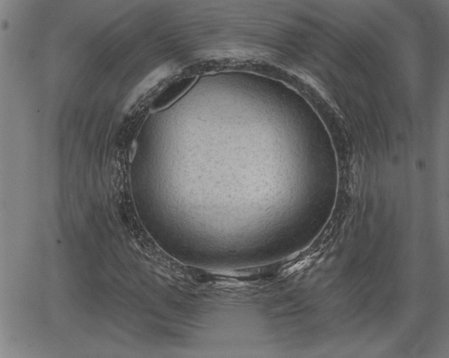 X0000065970967200603061145