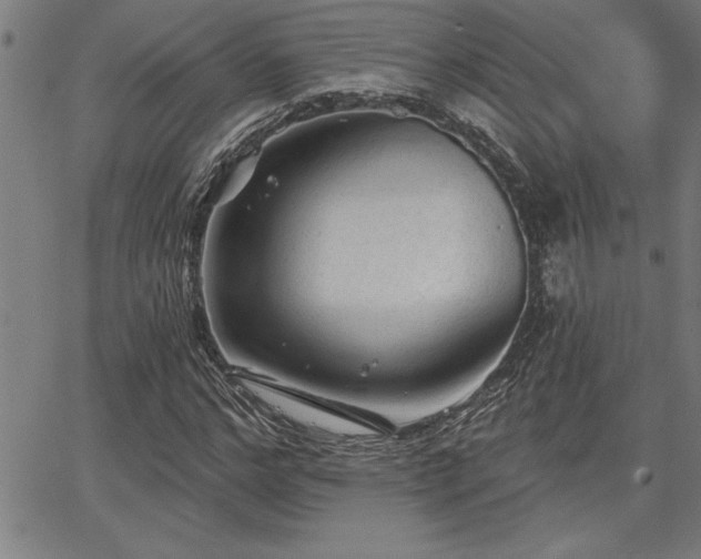 X0000065970968200603061145