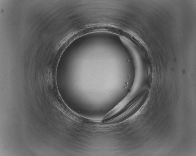 X0000065970969200603061145