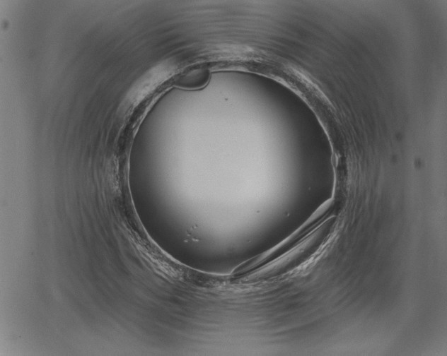 X0000065970970200603061145