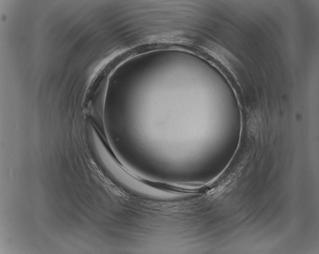 X0000065970971200603061145