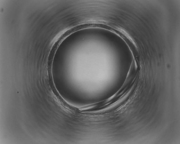 X0000065970972200603061145