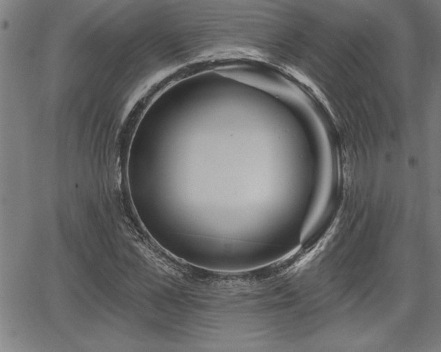 X0000065970973200603061145