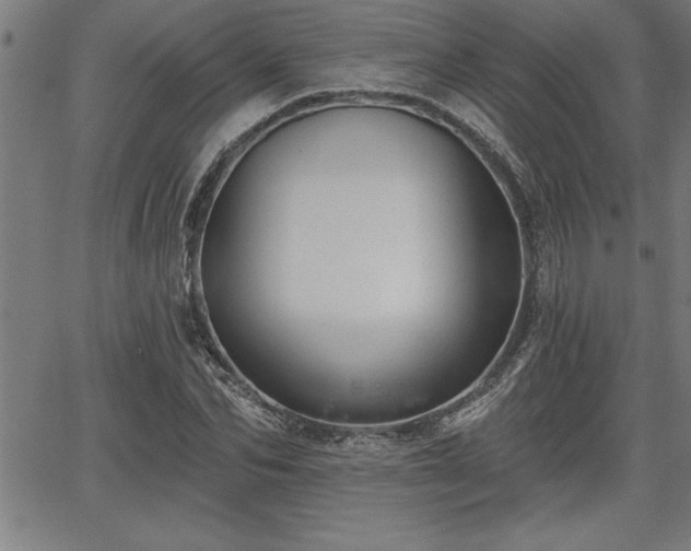 X0000065970974200603061145