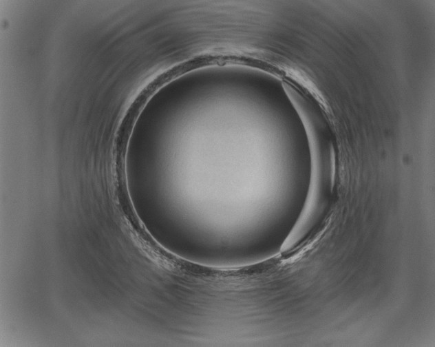 X0000065970976200603061145