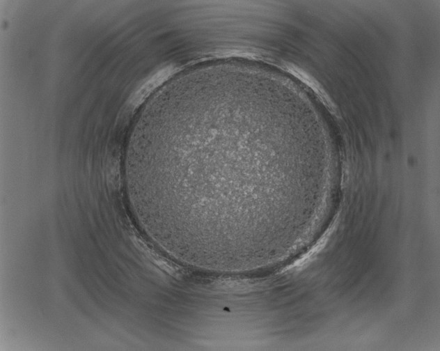 X0000065970977200603061145