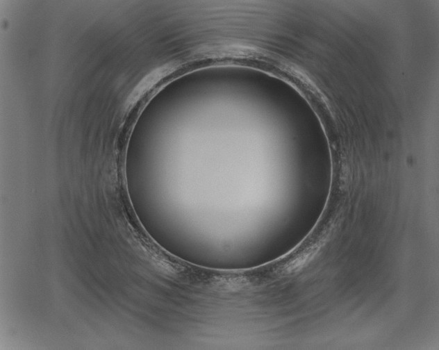 X0000065970978200603061145