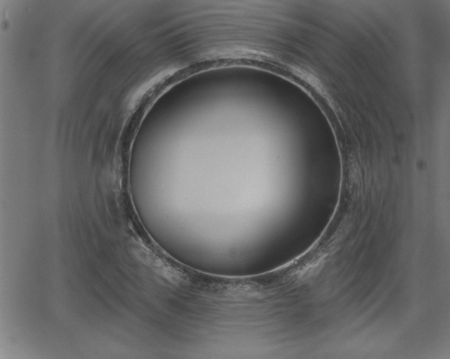 X0000065970979200603061145