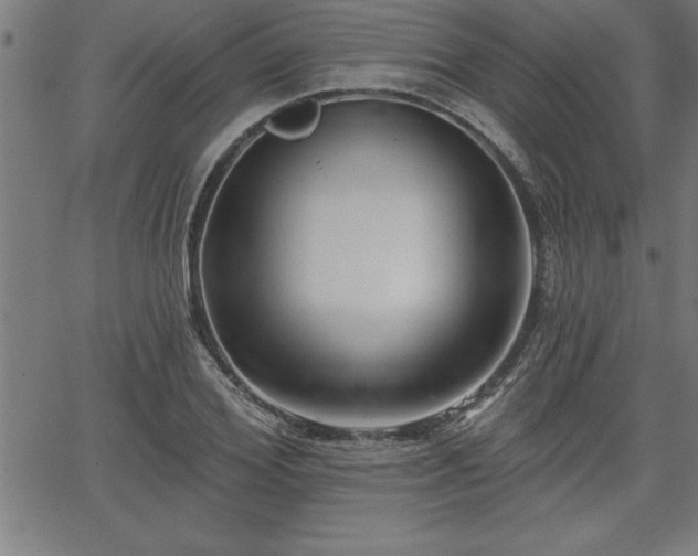 X0000065970980200603061145