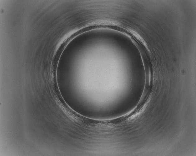 X0000065970981200603061145