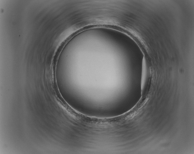 X0000065970982200603061145