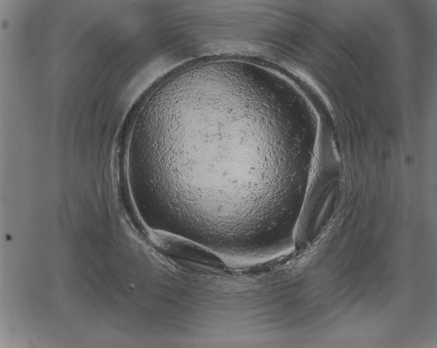 X0000065970983200603061145