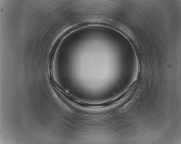 X0000065970984200603061145