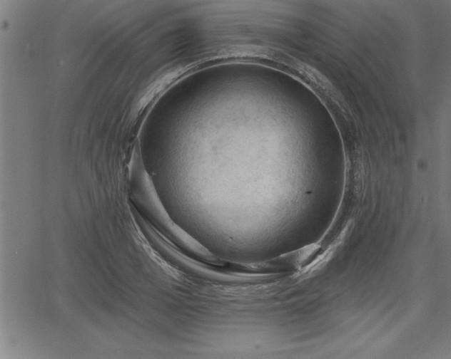 X0000065970985200603061145