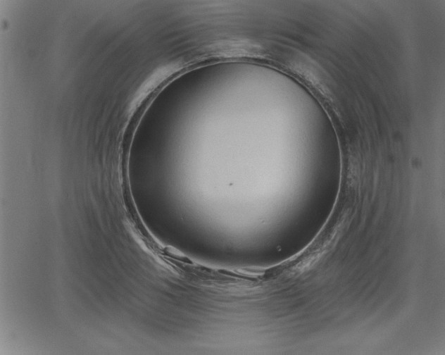 X0000065970986200603061145