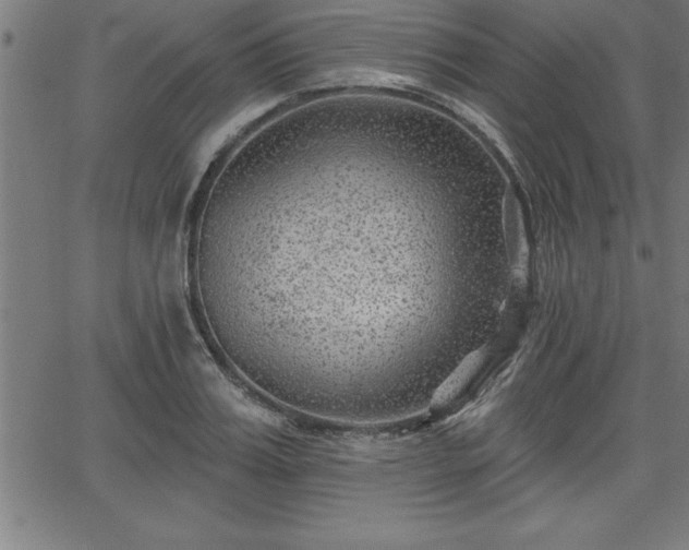 X0000065970987200603061145