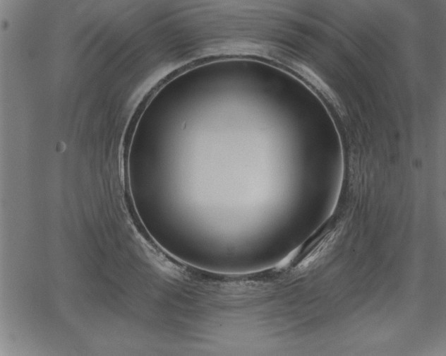 X0000065970988200603061145