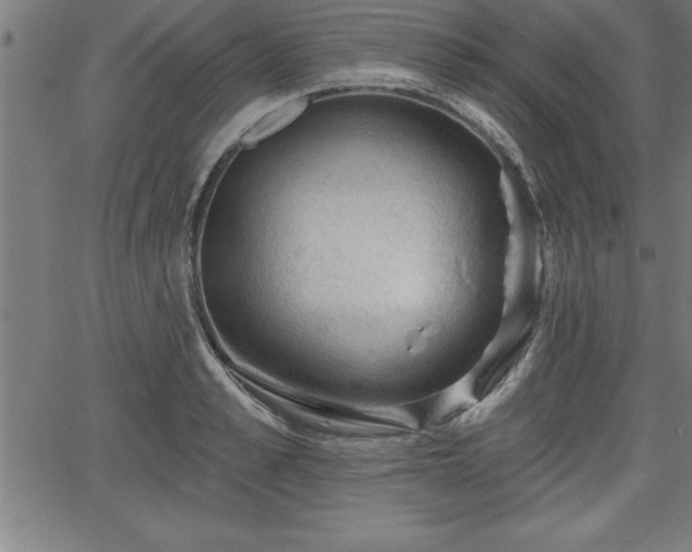 X0000065970989200603061145