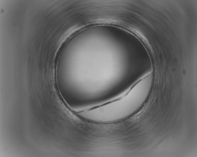 X0000065970992200603061145