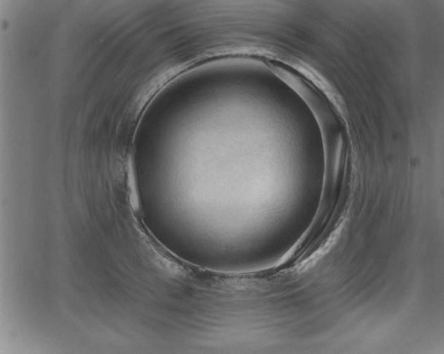 X0000065970993200603061145