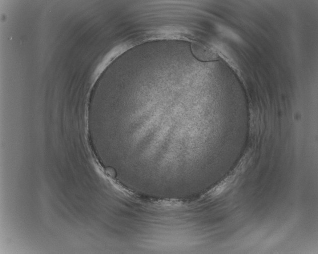 X0000065970994200603061145