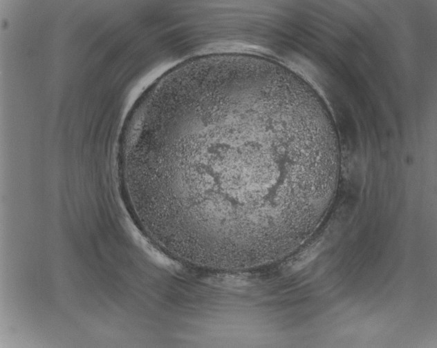 X0000065970995200603061145