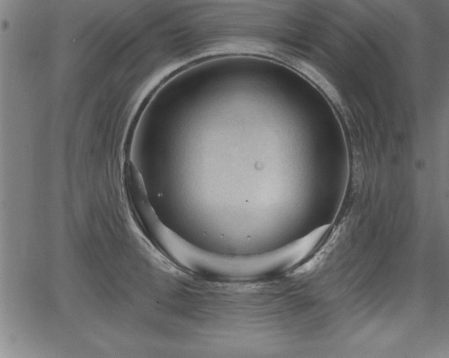 X0000065970996200603061145