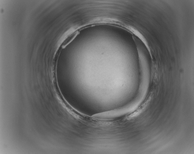 X0000065970997200603061145