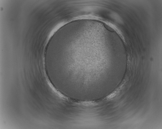 X0000065970998200603061145