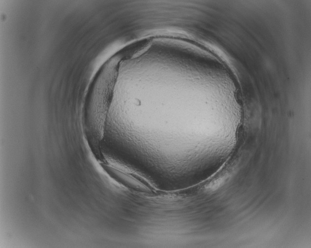 X0000065970999200603061145