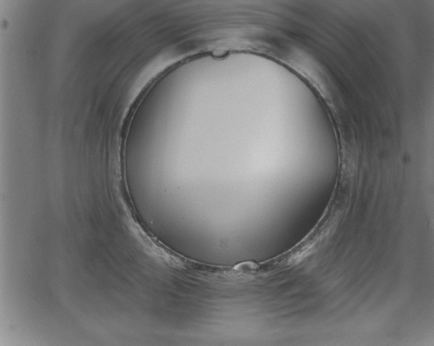 X0000065971000200603061145