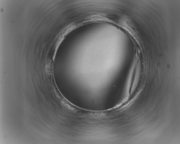 X0000065971001200603061145