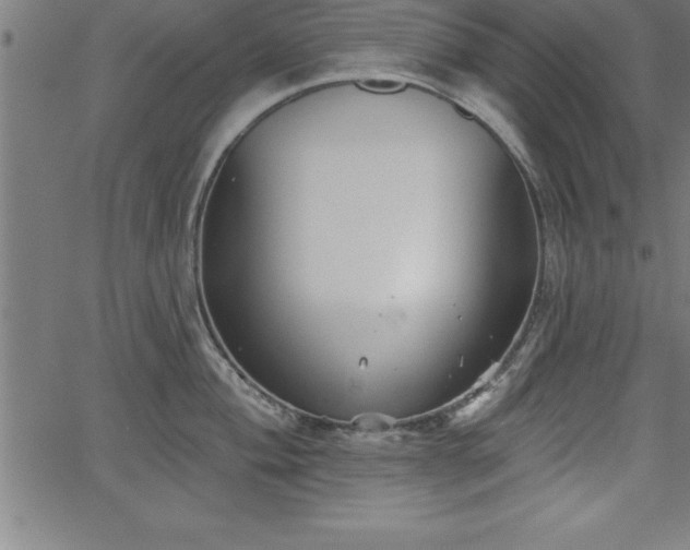 X0000065971004200603061145