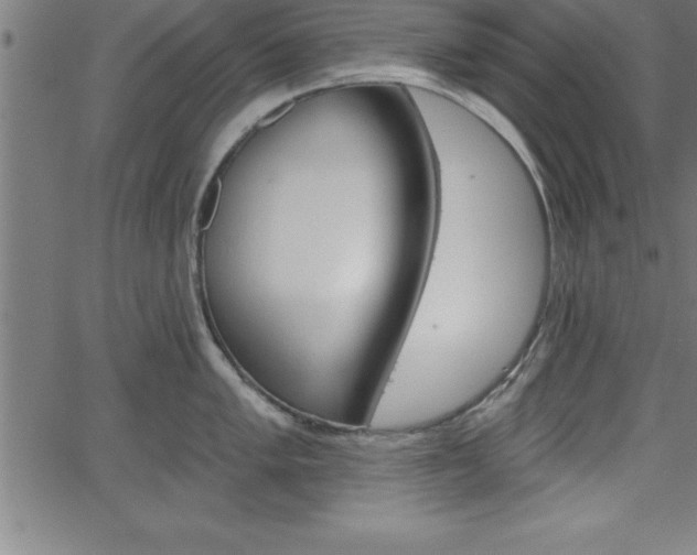 X0000065971005200603061145