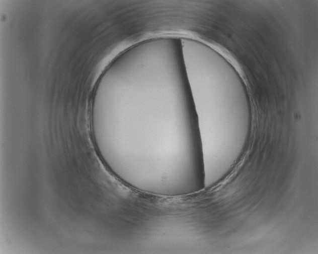 X0000065971006200603061145