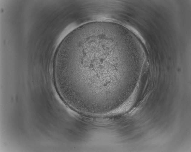 X0000065971007200603061145