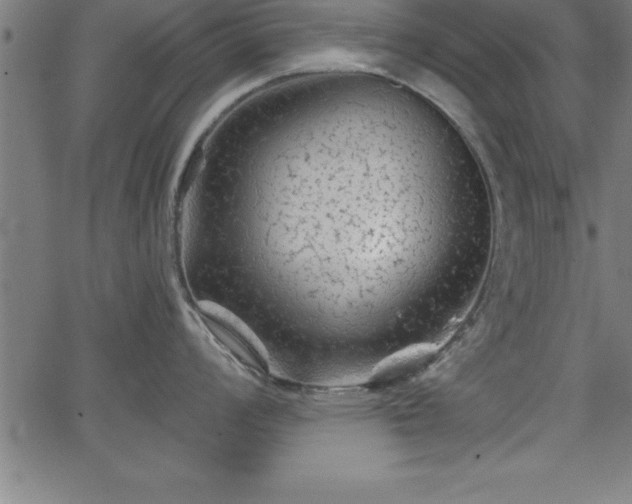 X0000065971008200603061145