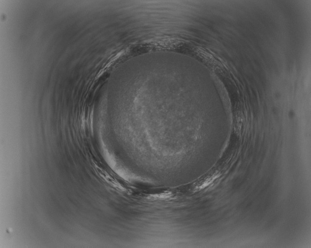 X0000065971010200603061144