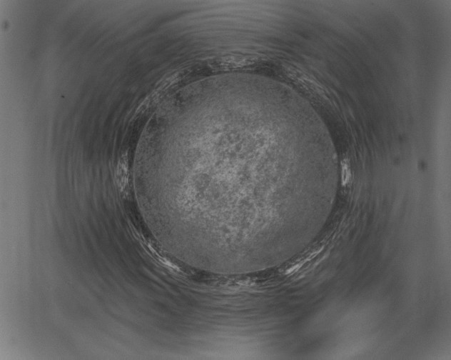 X0000065971011200603061144