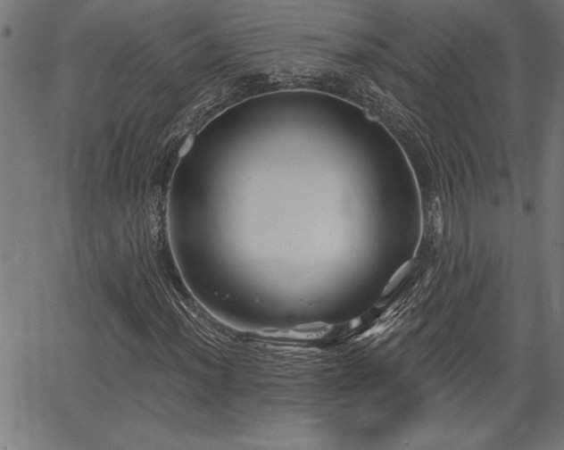 X0000065971012200603061144