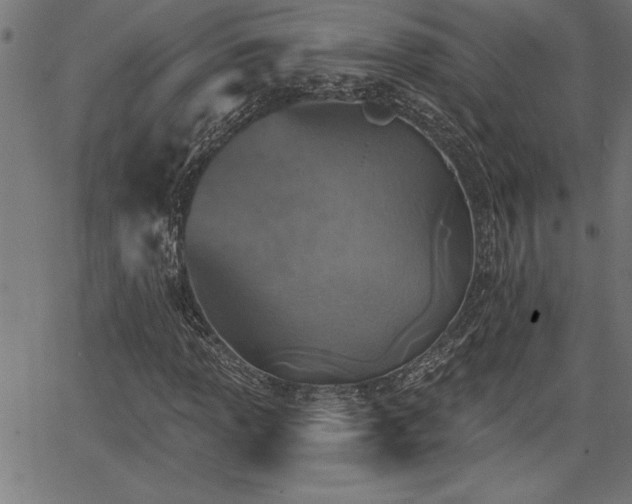 X0000065971013200603061144