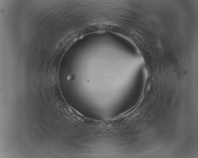 X0000065971014200603061144