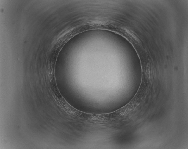 X0000065971015200603061144