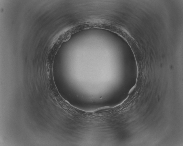 X0000065971016200603061144