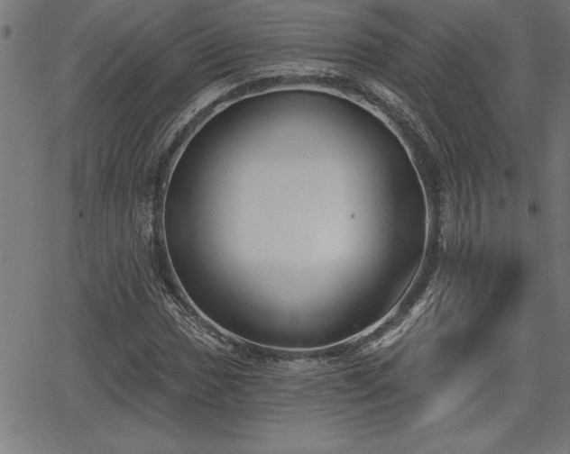 X0000065971017200603061144