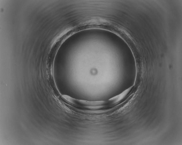 X0000065971018200603061144