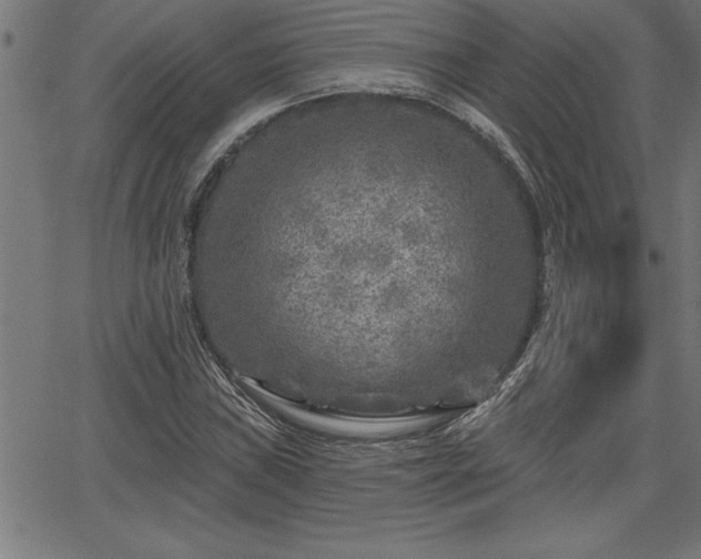 X0000065971019200603061144