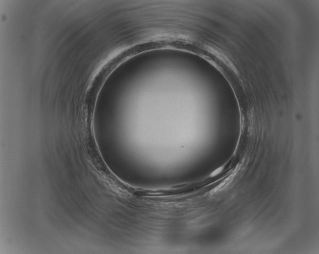 X0000065971021200603061144