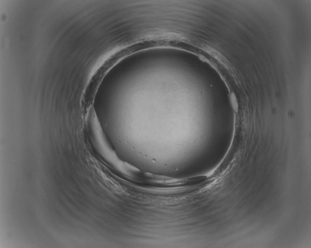 X0000065971022200603061144